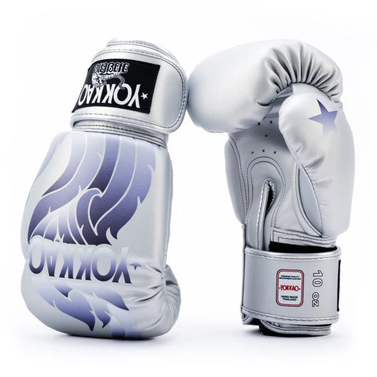 The Flame Boxing Silver Gloves