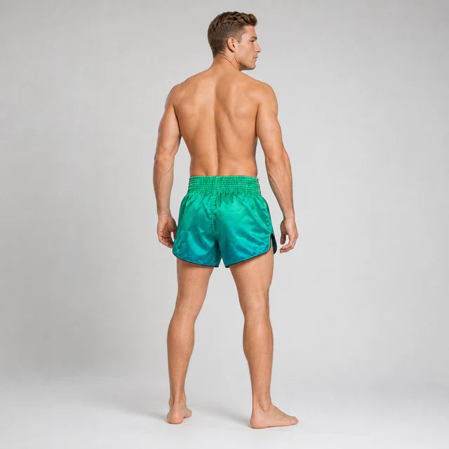 Fairtex Muay Thai Shorts - BS1953 Quantum
