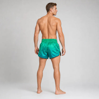 Fairtex Muay Thai Shorts - BS1953 Quantum