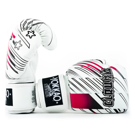 Power Boxing Gloves