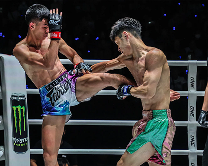 Muay Thai Shorts – Tiger Edition