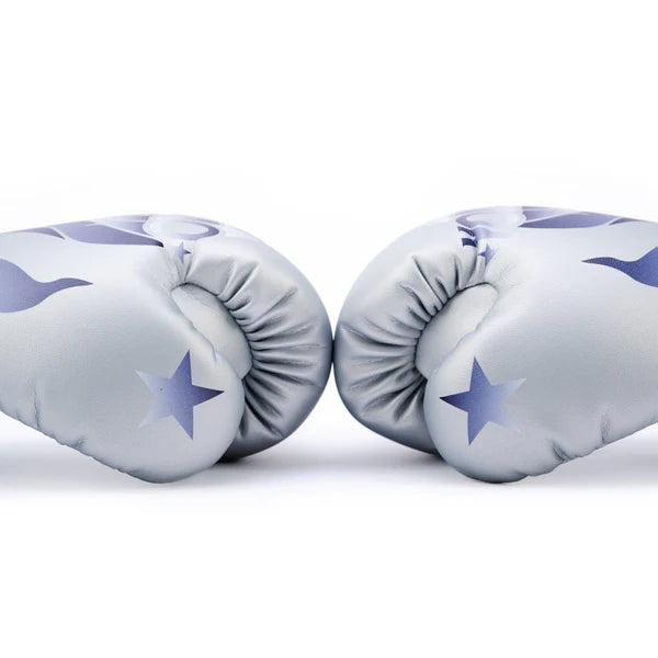 The Flame Boxing Silver Gloves