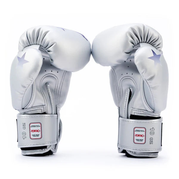 The Flame Boxing Silver Gloves